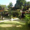 Bali Tropic Resort & Spa (27)